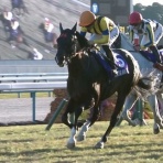 さておき競馬まとめ