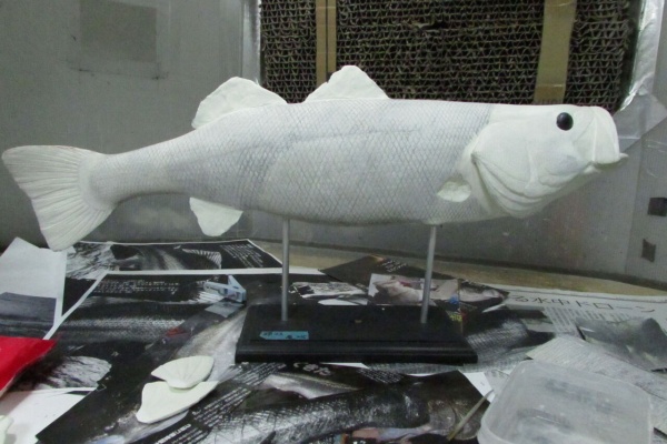魚の模型制作しています。 fish craft REAL
