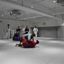 平野区でダイエットのために運動を始めたい方へ｜ブラジリアン柔術という選択肢