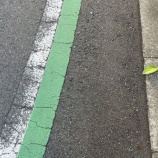 『散歩で色探し「カラーウォーク」で頭スッキリ』の画像