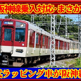 湘南色の部屋（Shonan-color train）