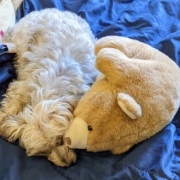 4年間知らずに損をした