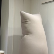 【猫写真】アゴ置きはあったほうがいい