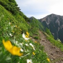 2026年7月10･11日 赤沢山・西岳・赤岩岳3