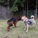 仁美のブログ　一緒に