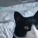 彼とベッドの上でまったりしていた。うりうりうり♪ → 子供な彼はこうしてきます…