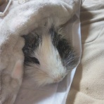 きらちゃんと一緒♪