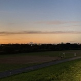 『本日8/11(祝木)、全グラウンド利用可能です』の画像