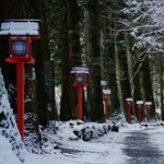 【画像】年の瀬だし今年行った場所の写真貼ってく