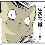 くららんち。～B型夫婦と猫２匹の日常～