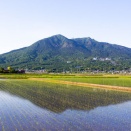 「筑波山唄」都山譜。「秋田飴売り唄」の前奏が三者三様とな。