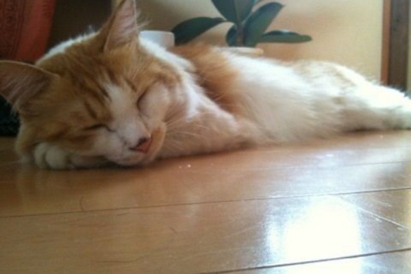 毛糸の太さについて あみものーと