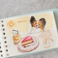 ミニバインダーで始めた水彩画、楽しんでます
