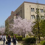 大学受験勉強方法 志望校に合格するための成功プラン