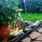 南カリフォルニア暮らしのブログ