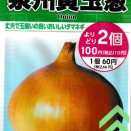 2025年9月　泉州黄玉葱
