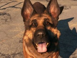 Fallout4 - ドッグミート（Dogmeat）