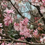 小池浩の「豊かに」「儲かる」「成功する」人生創造ラボ🎵経営者（個人事業主）応援ブログ！