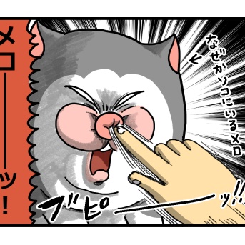 恐ろしく早い鼻クソの先にいた猫