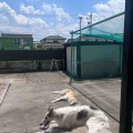 日向ぼっこ♪
