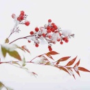 2026年もよろしくお願いします^^