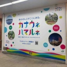 カナウネ ハマルネ(←とは？)