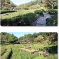 薬師池公園