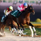 『今日は何の日?(11月9日)』の画像