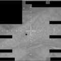 【米国防総省】UFO関連の写真や動画161点を公開