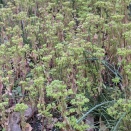 肝心な事を書き忘れてた（汗）