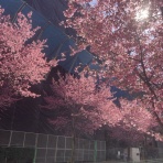 日本才能学研究所オフィシャルブログ*:.｡.ღ˘◡˘ற♡.｡.:*･ﾟ