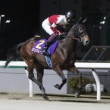 『【移籍馬情報】ホッカイドウ競馬・冬季2歳移籍馬情報 ~Vol.9 高知編~』の画像