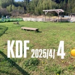 市原市ドッグラン