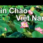 続、自由単車おやじの絵日記Ⅲ