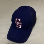 阿佐智の「アサスポ・ワールド・ベースボール」