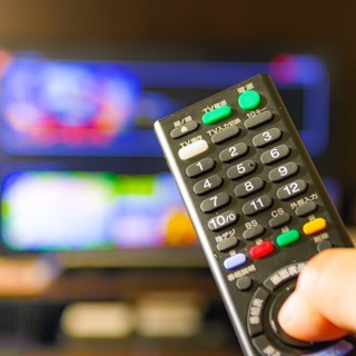 セガレの知恵袋