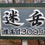 山の旅社 ガイドの日記 豊橋木戸