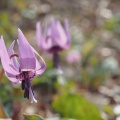 あっという間に過ぎ去った3月