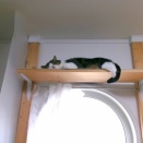 いつ以来だろう??