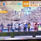 目黒川の横断幕の件が今朝のニュースになっていた📺