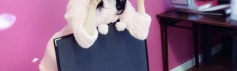 声優・東山奈央さんの猫耳パジャマ姿が可愛い！チラッと見える足にドキッ！