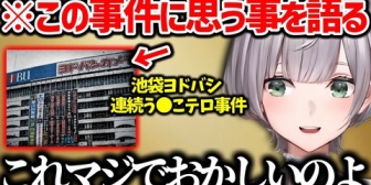 【ホロライブ】ノエル雑談まとめ『中古品が苦手な理由』『池袋ヨドバシ事件』『捻挫して労災の基準に頭を悩ます』