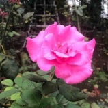 �ء�ī�Τ������ۿͤϤ狼��ʤ���Τ��ܤ����ˤ���ȡ��������ηи����顢������̣�����Ρ��狼���Τ�ǧ�����褦�Ȥ��뷹��������ޤ�������ʤ��äǤ����٤β���