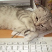 読者の皆様のおかげでブログ開設20年