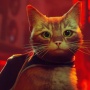 猫サイバーパンク『ストレイ』スイッチ版が2024年冬発売決定！