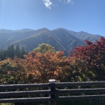 40代パート主婦の自転車操業な日常(50代に突入しました)