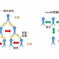「関係力で突破せよ」レジュメ