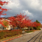 シーバス電脳日誌 ロードバイクでサイクリングも