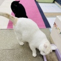 Mさんのお当番日記『もぅ子供ちゃうでぇ』。