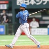 日ハムはどんな起用法を想定してアルカンタラ残したんだろ